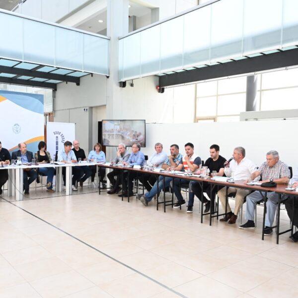 Se presentó el proyecto que crea la Agencia de Inversiones y ComEx de Chubut