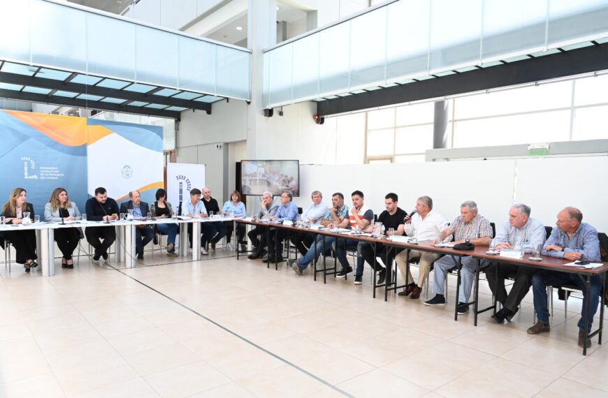 Se presentó el proyecto que crea la Agencia de Inversiones y ComEx de Chubut