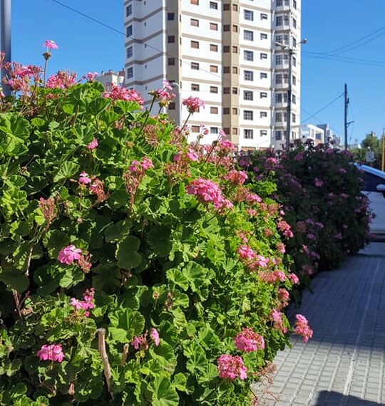 Sábado con calor y viento en Comodoro