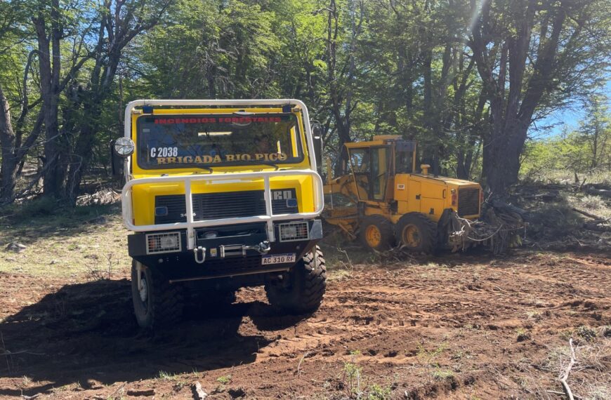 El Gobierno del Chubut controló el incendio forestal en la zona de Río Pico