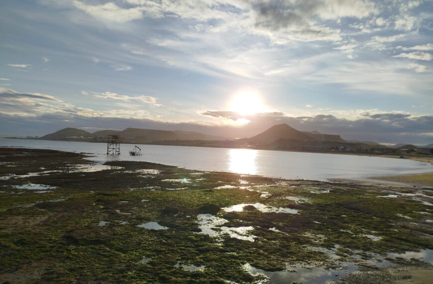 Viernes con calor y sin viento