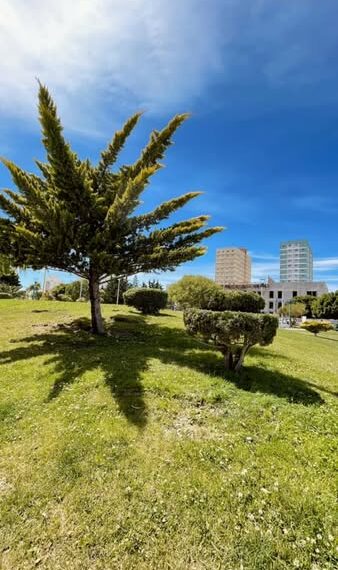 Sábado sin viento y buena temperatura