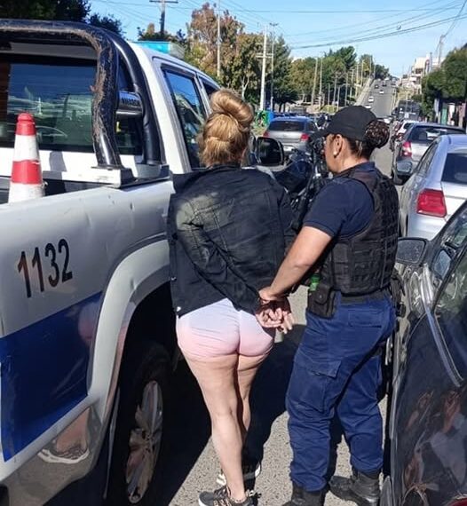 Intento de robo navideño: detienen a una mujer