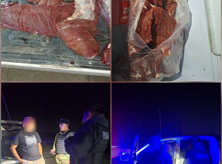 Decomiso de guanacos en Ruta 3