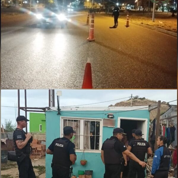 Controles de navidad