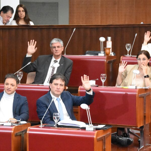 La Legislatura del Chubut aprobó un nuevo artículo en el Código Procesal Penal para agilizar la restitución de inmuebles usurpados