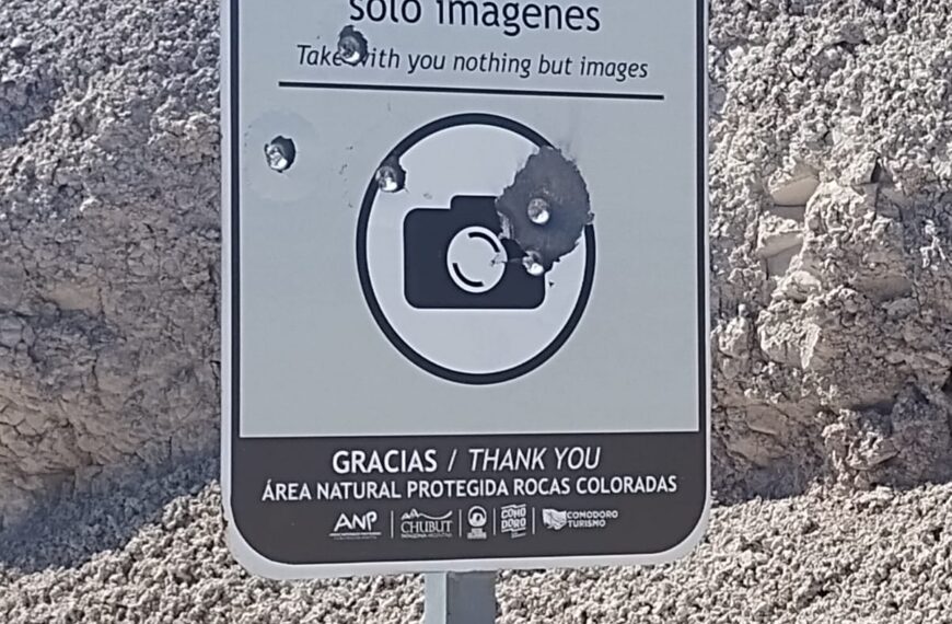 Repudio a los actos de vandalismo en el Área Natural Protegida Roca Coloradas