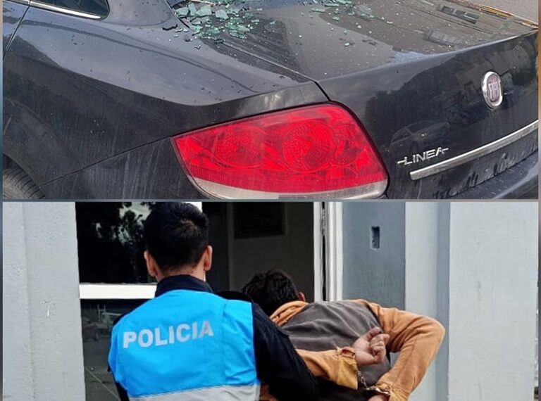 Comodoro: Detuvieron a una persona por alcoholemia y daños