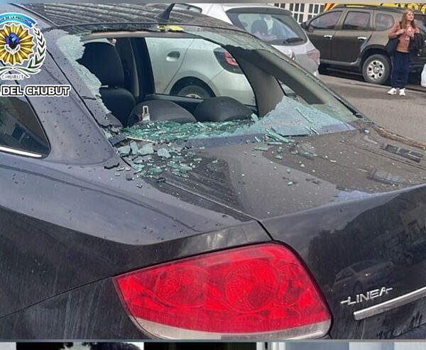 Comodoro: Detuvieron a una persona por alcoholemia y daños