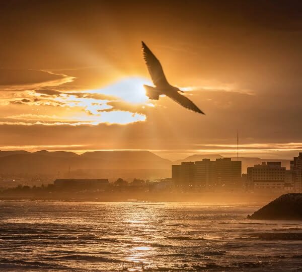 Jornada de calor y viento: Mira el detalle del clima