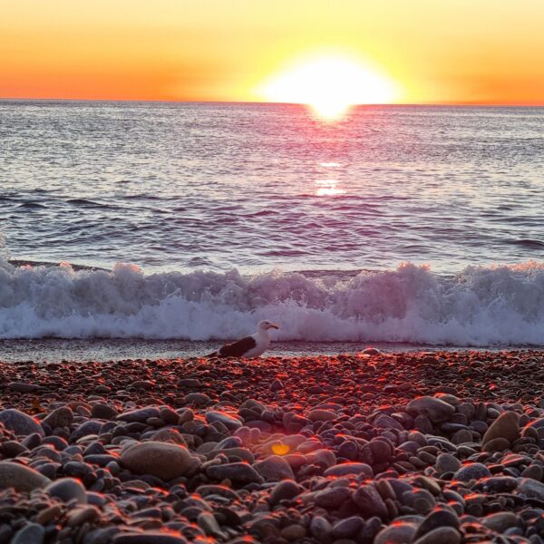 Cielo nublado y temperaturas veraniegas para la jornada