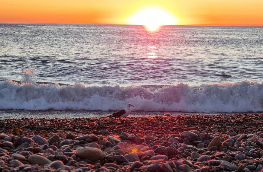 Cielo nublado y temperaturas veraniegas para la jornada