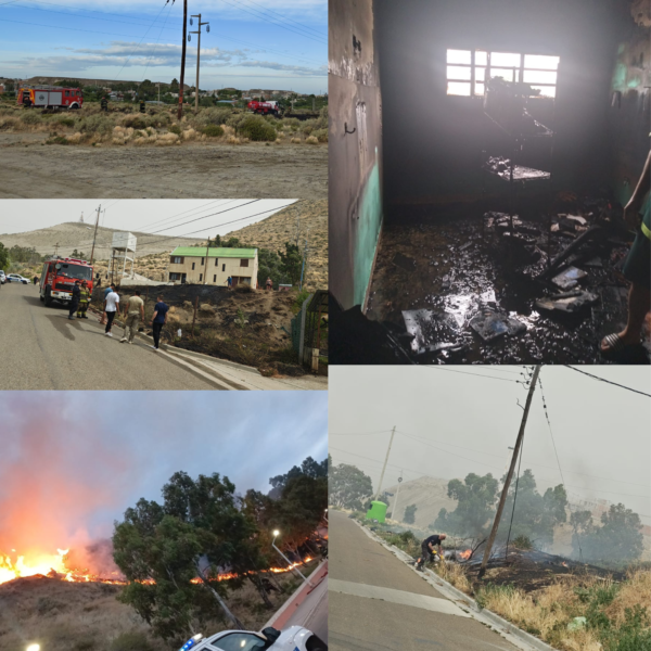 Domingo rojo: múltiples incendios movilizaron a los bomberos