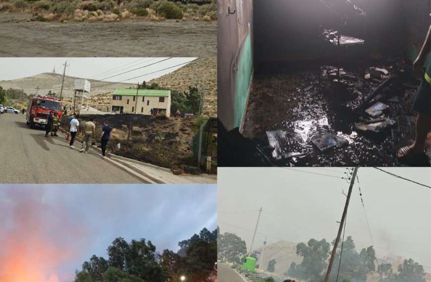 Domingo rojo: múltiples incendios movilizaron a los bomberos