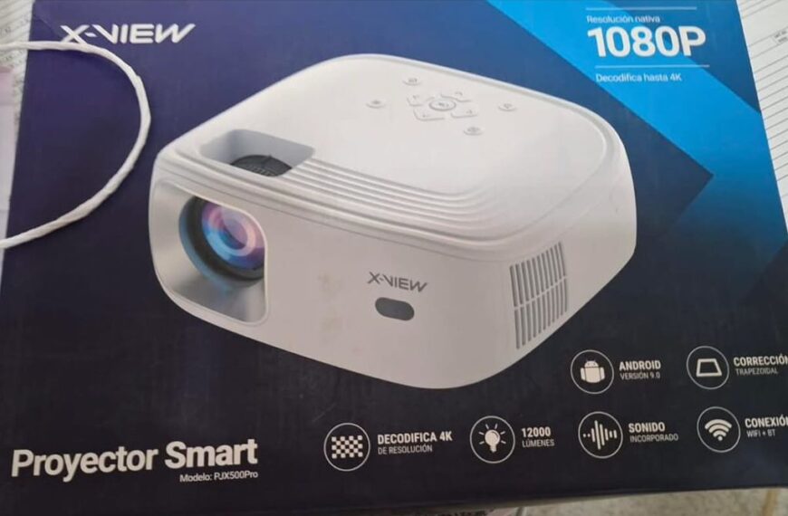 Robaron un proyector al Hospital Alvear