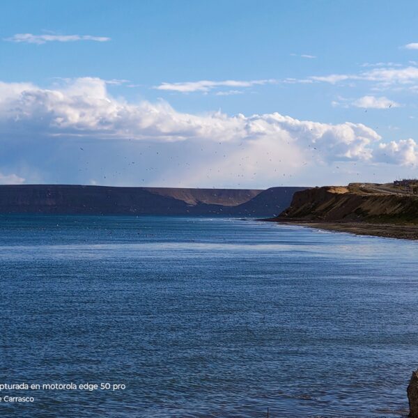 Cielo despejado: Mira el detalle del clima