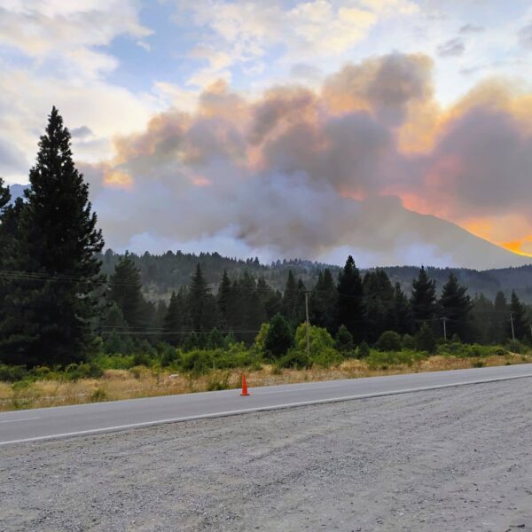 Detienen a dos personas cuando intentaban iniciar un incendio en El Pedregoso