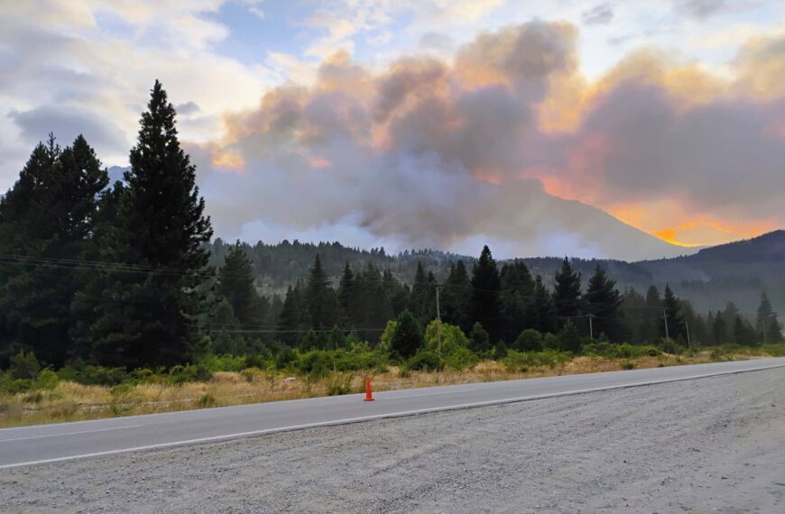 Incendio en El Pedregoso: cortan la ruta y desvían el tránsito