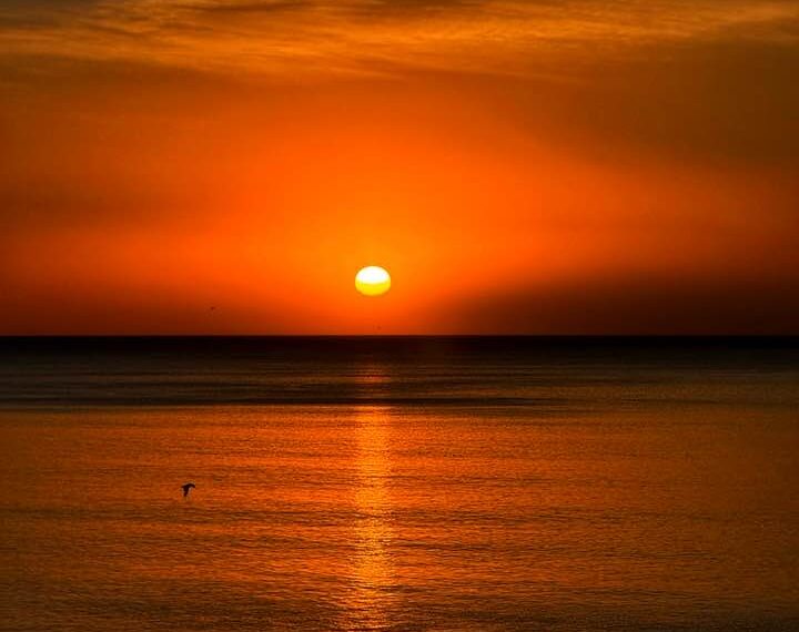 Día agradable con sol y viento: Mira el detalle del clima