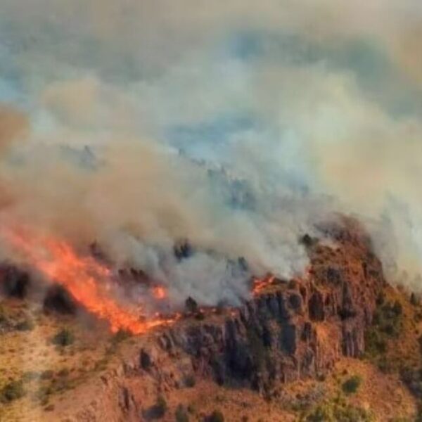 No cesan los incendios: brigadistas trabajan en el Parque Nacional Los Alerces