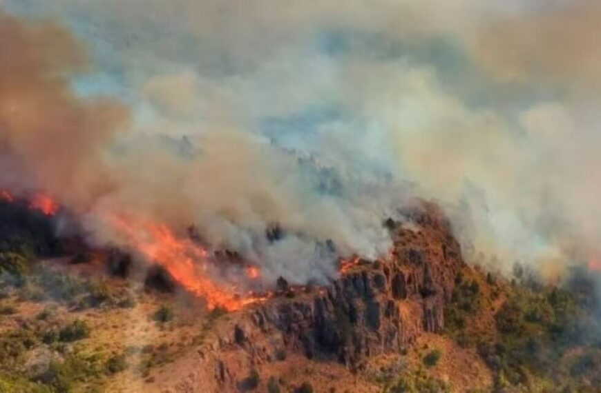 No cesan los incendios: brigadistas trabajan en el Parque Nacional Los Alerces