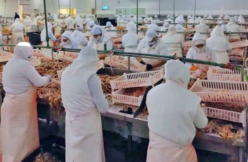 Pesca Marina en crisis: la empresa avanza con la reestructuración por falta de rentabilidad