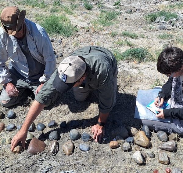 Nuevos hallazgos arqueológicos del CENPAT en la zona de los lagos Musters y Colhué Huapi