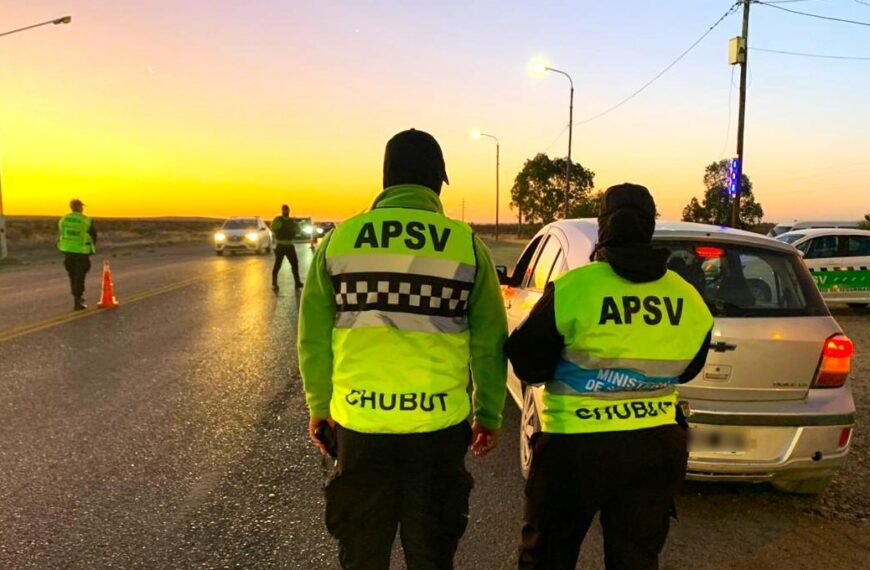 Verano Seguro: Provincia controló cerca de 10.000 vehículos y retiró a 45 conductores alcoholizados de la vía pública