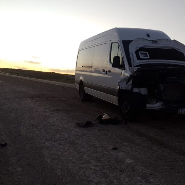 Circulaba por Ruta 3 y chocó contra un guanaco