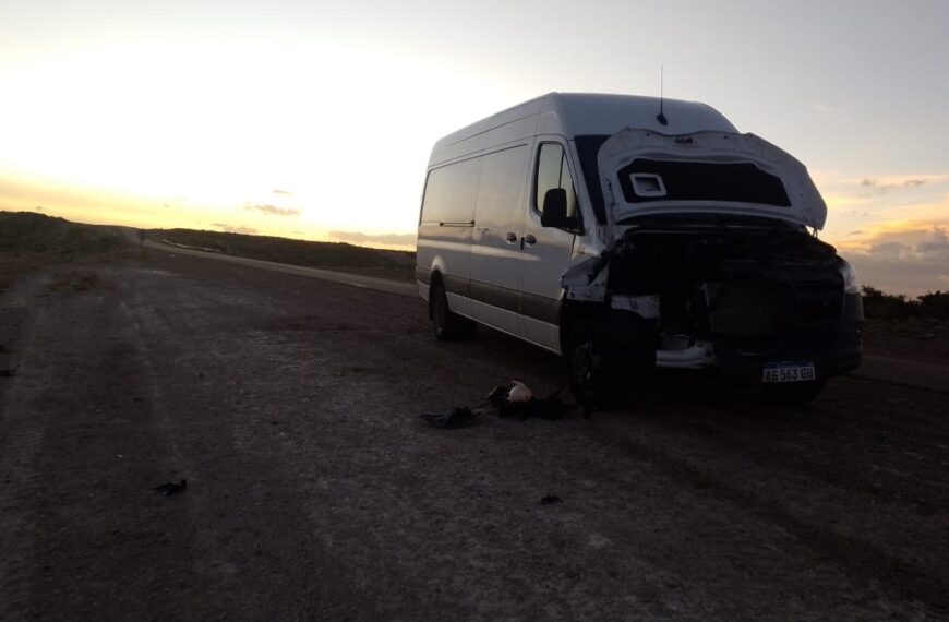 Circulaba por Ruta 3 y chocó contra un guanaco