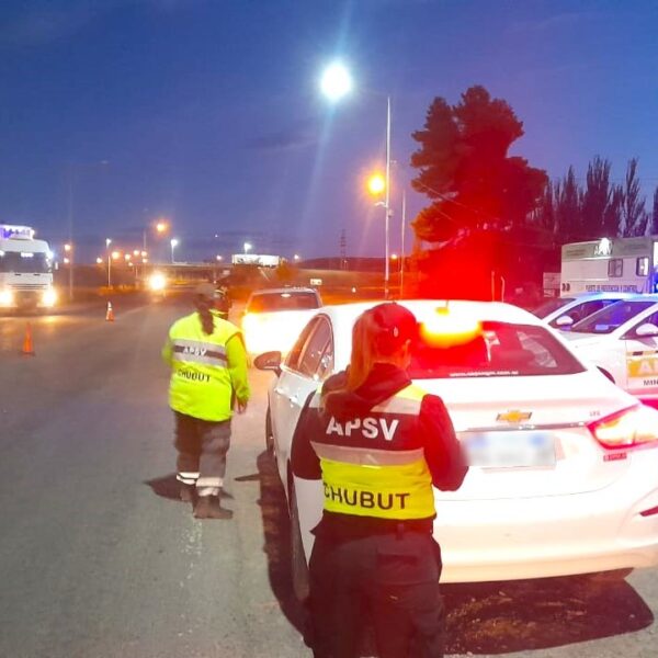 Verano Seguro: Provincia controló más de 11.000 vehículos y retiró a 61 conductores alcoholizados de la vía pública