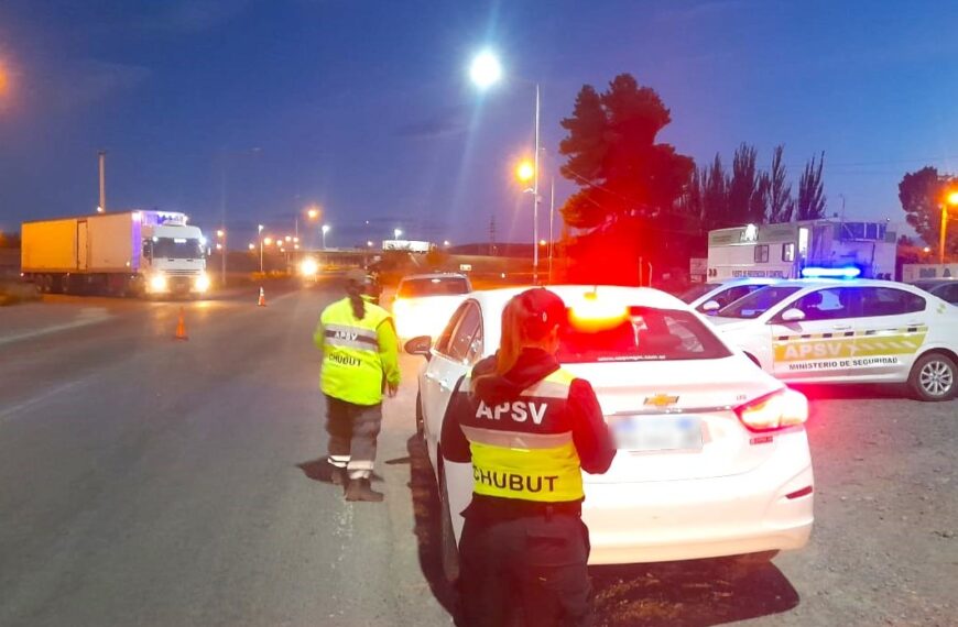 Verano Seguro: Provincia controló más de 11.000 vehículos y retiró a 61 conductores alcoholizados de la vía pública