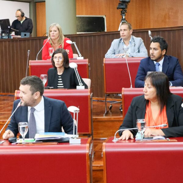 “Están generando un perjuicio institucional al destrozar nuestra Constitución Provincial”