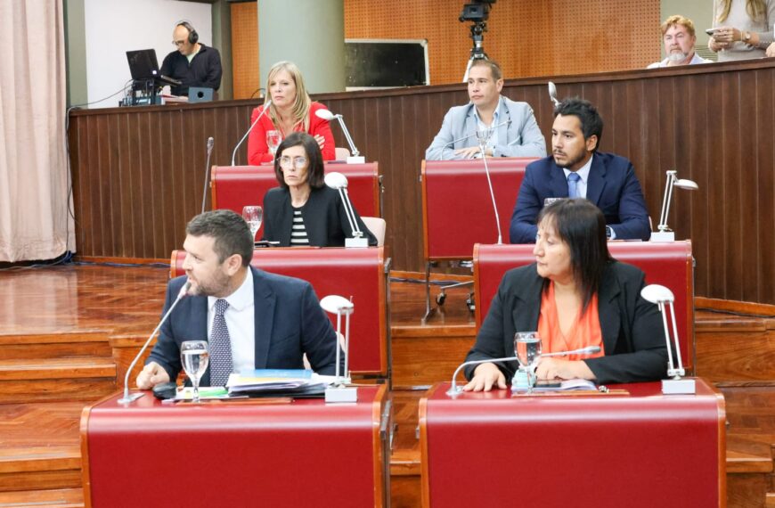 “Están generando un perjuicio institucional al destrozar nuestra Constitución Provincial”