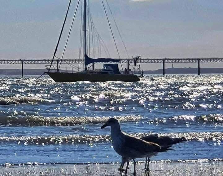 ¿Llega la lluvia? Mira el detalle del clima