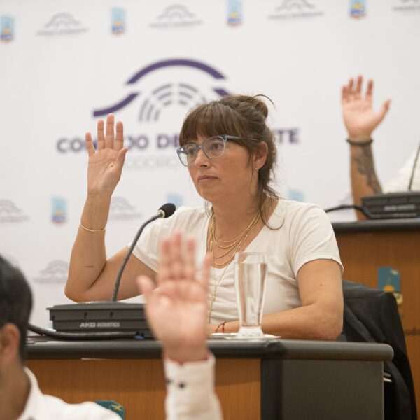 Maite Luque criticó al Ejecutivo por la desprolijidad en los pliegos del Transporte Público