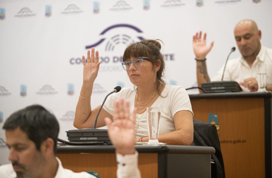 Maite Luque criticó al Ejecutivo por la desprolijidad en los pliegos del Transporte Público