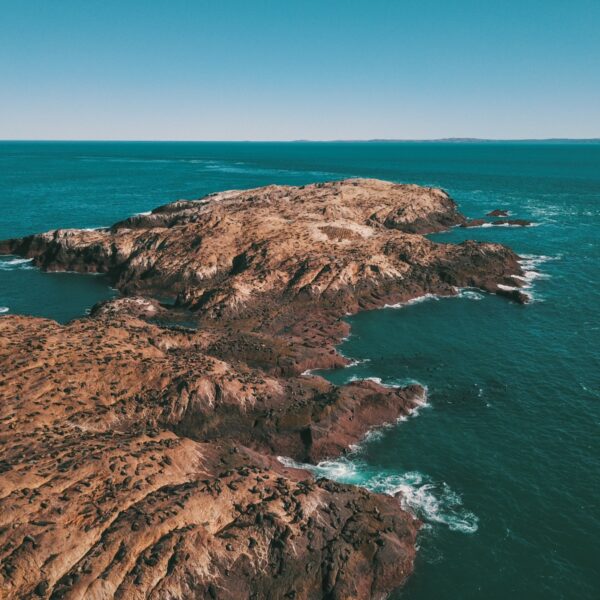 El Gobierno del Chubut crea una nueva Área Natural Protegida: el Parque Provincial Patagonia Azul