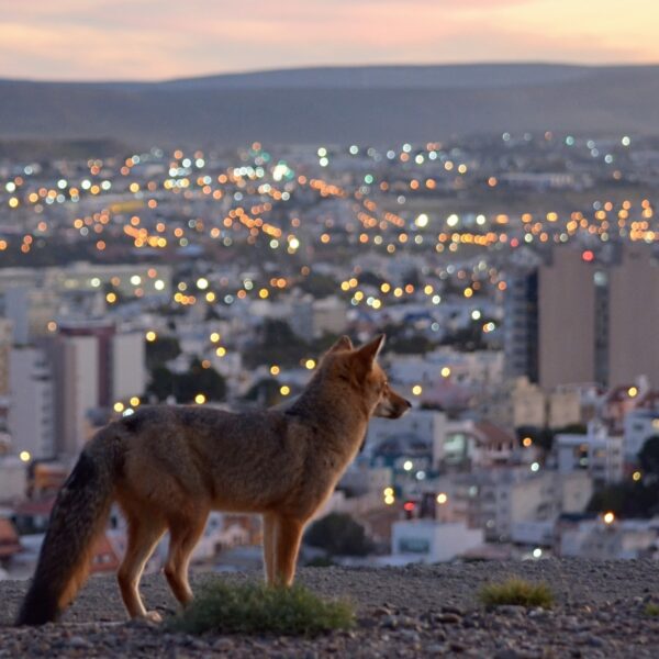 Sábado con probabilidades de lluvias