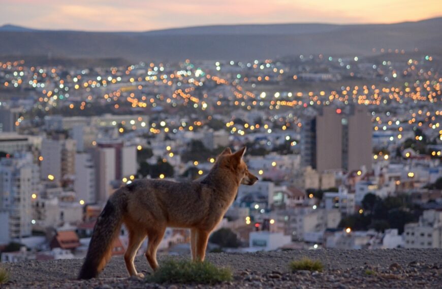Sábado con probabilidades de lluvias