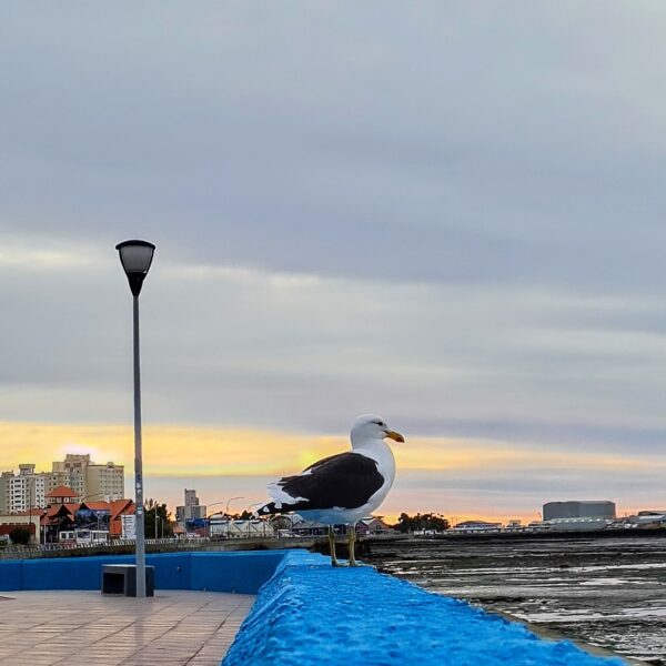 Jueves de viento en la ciudad y alrededores