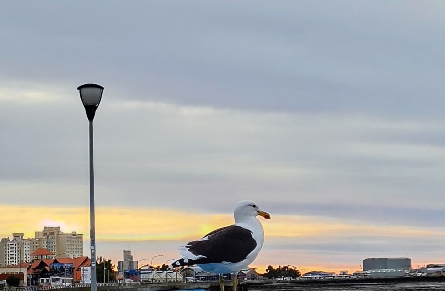 Jueves de viento en la ciudad y alrededores