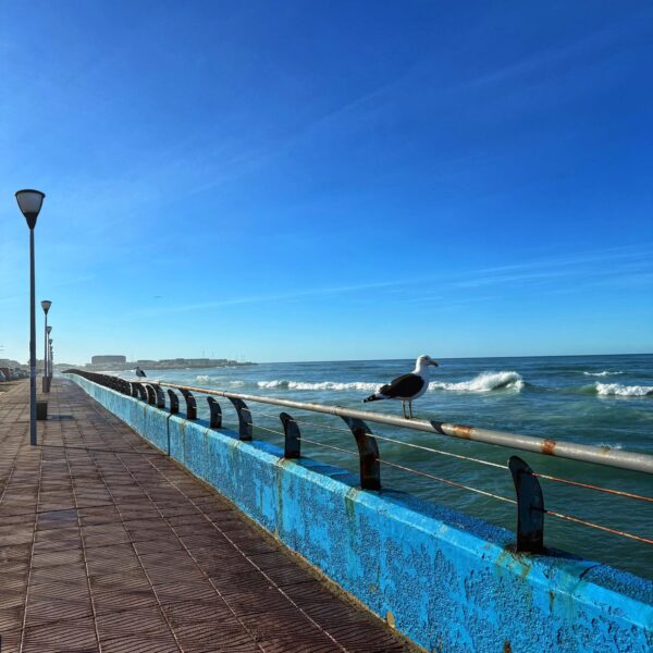 Algo de viento y sin lluvias, el pronóstico para este viernes