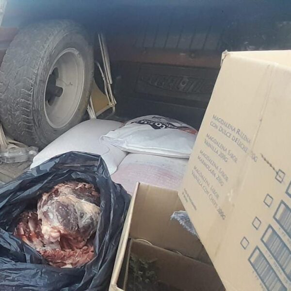 Circulaba con gallinas y carne de jabalí: lo interceptaron en un control