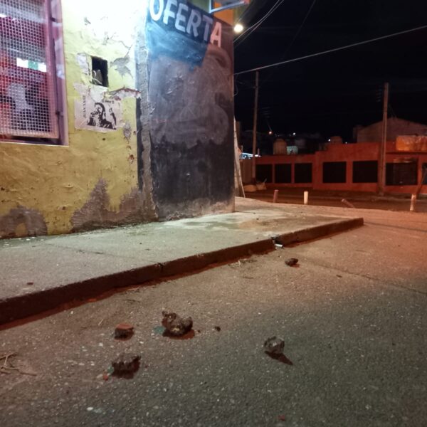 A piedrazos contra un comercio: tres detenidos