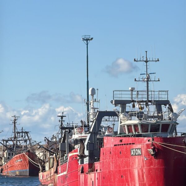 Jueves con neblina por la mañana y algo de sol por la tarde