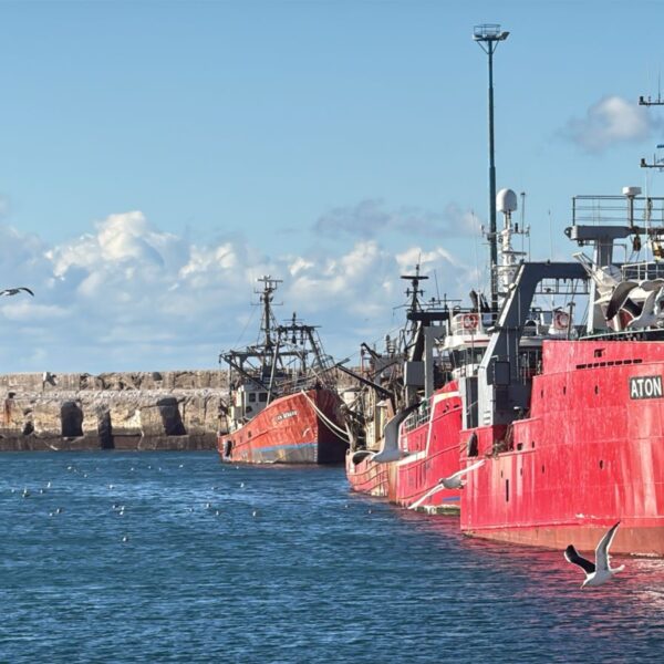 Jornada fresca e inestable: probabilidad de lluvias por la tarde