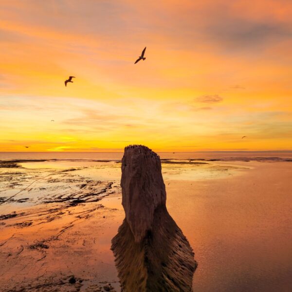 Jueves mayormente nublado y ventoso