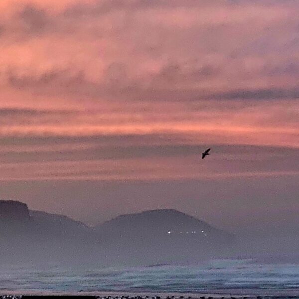 Miércoles con algo viento y probabilidades de lluvia