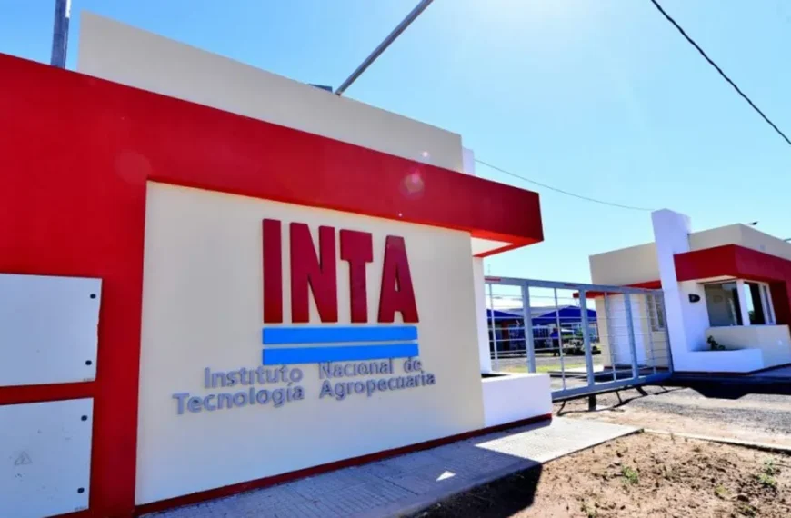 Preocupación en Chubut por los cambios en INTA: “Se desarma de un plumazo lo construido en 70 años”